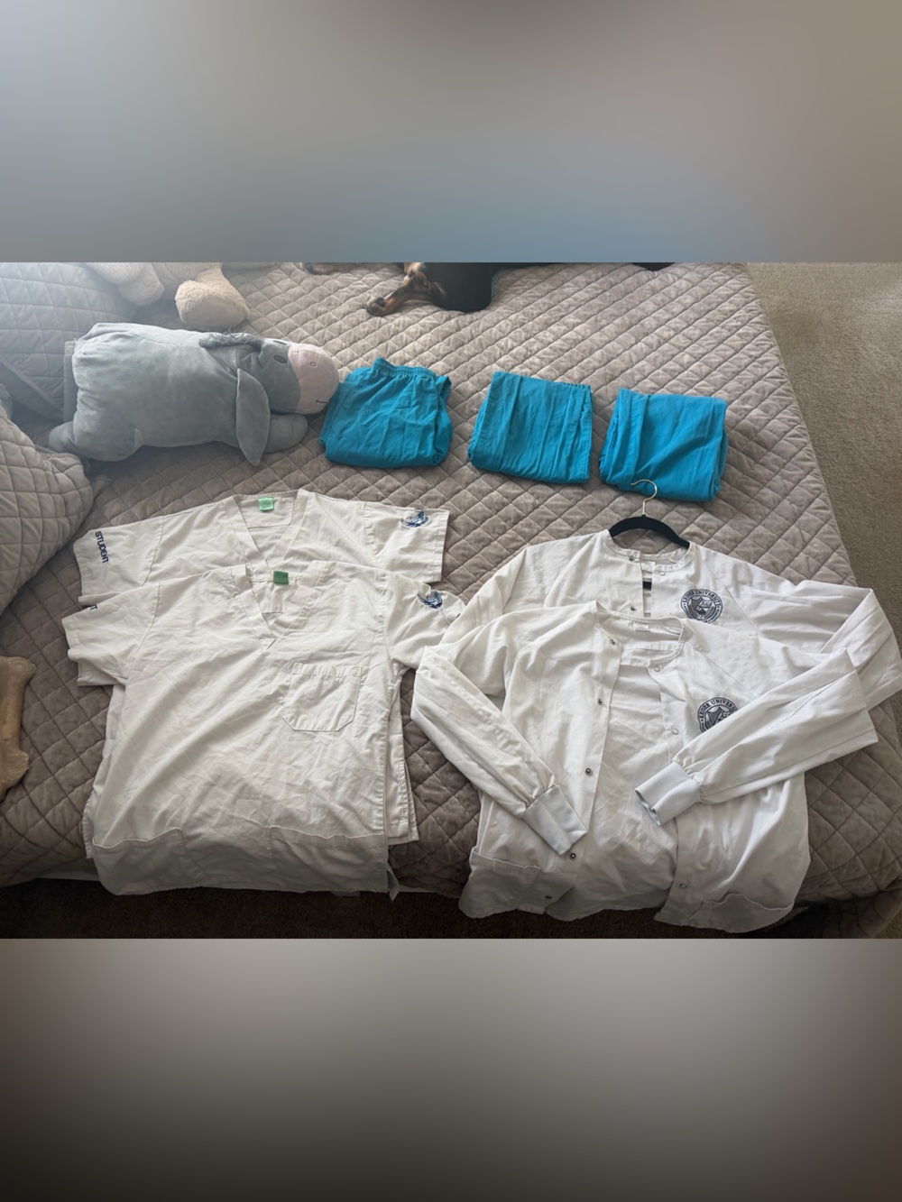 Keiser University BSN nursing scrub bundle